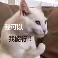 1605144723303072.png